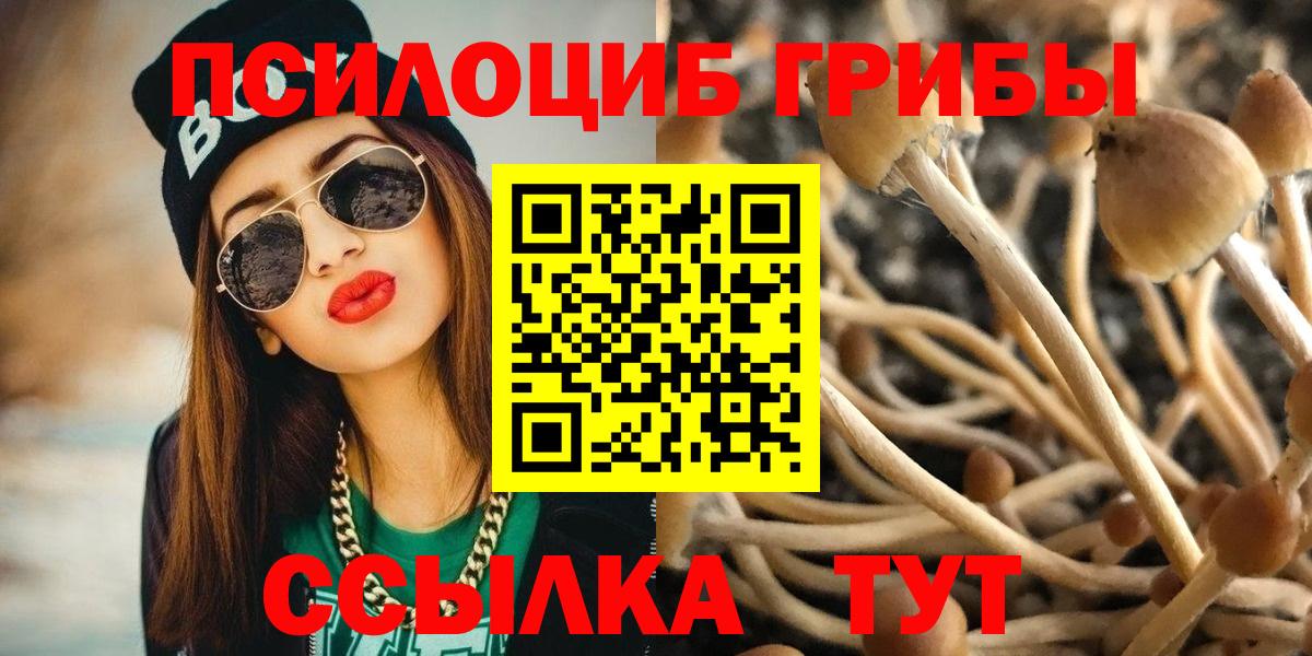 Кунгур  Галлюциногенные грибы Psilocybe  Вход с VPN 