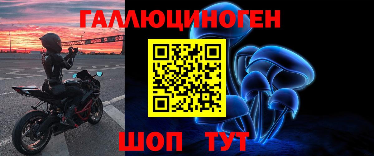 Галлюциногенные грибы Psilocybe Кунгур