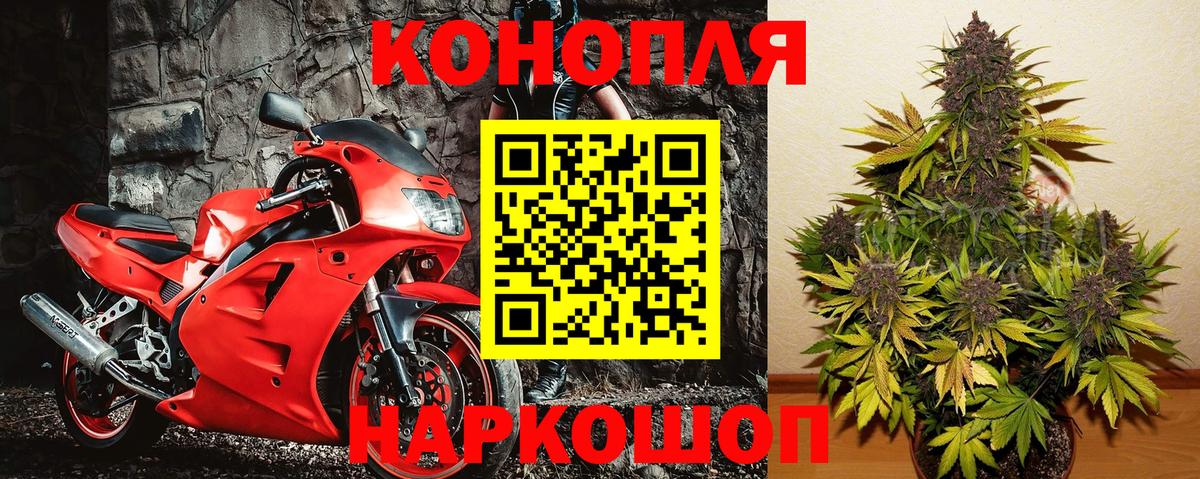Марихуана план  Вход с VPN  Шишки марихуана THC 21%  Шишки марихуана Bruce Banner  Кунгур 